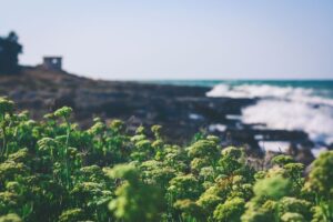 verano-asturias